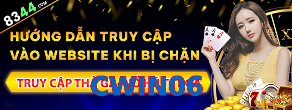 CWIN06