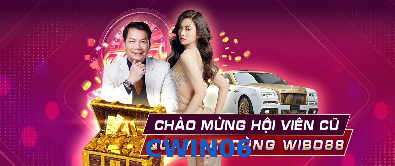 CWIN06